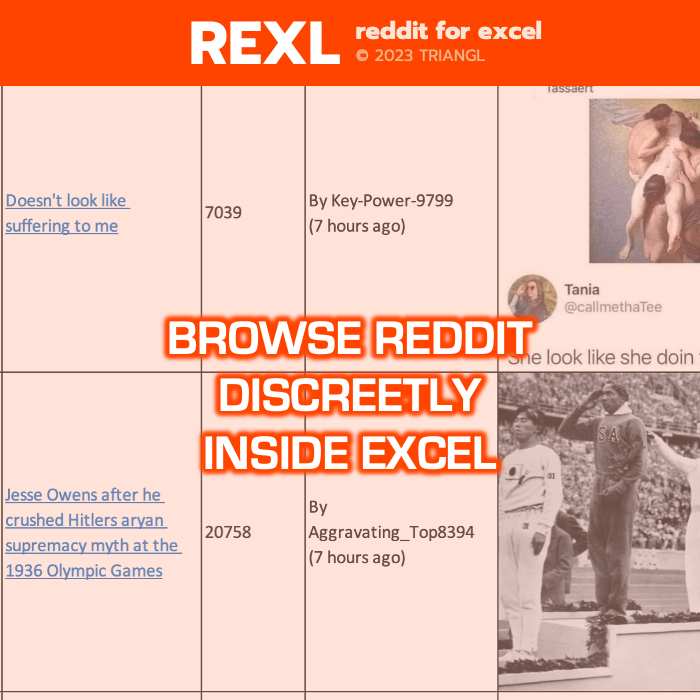 REXL | reddit for excel
